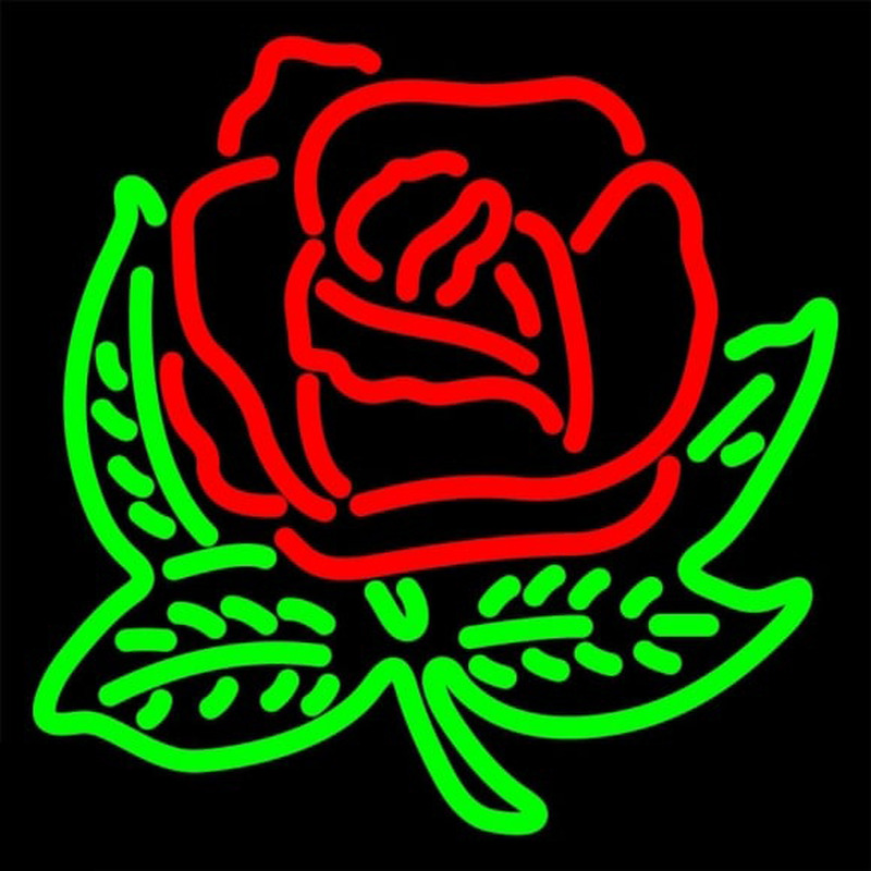 Alpha Omicron Pi Logo Neonreclame