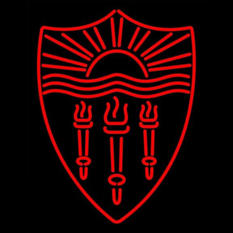 Delta Phi Kappa Logo Neonreclame