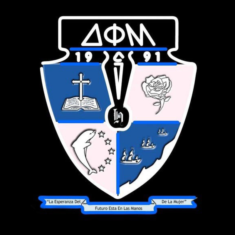 Delta Phi Mu Latina Greek Logo Neonreclame