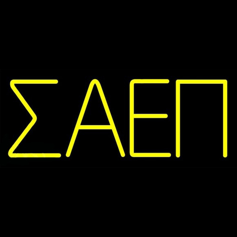Sigma Alpha Epsilon Pi Neonreclame