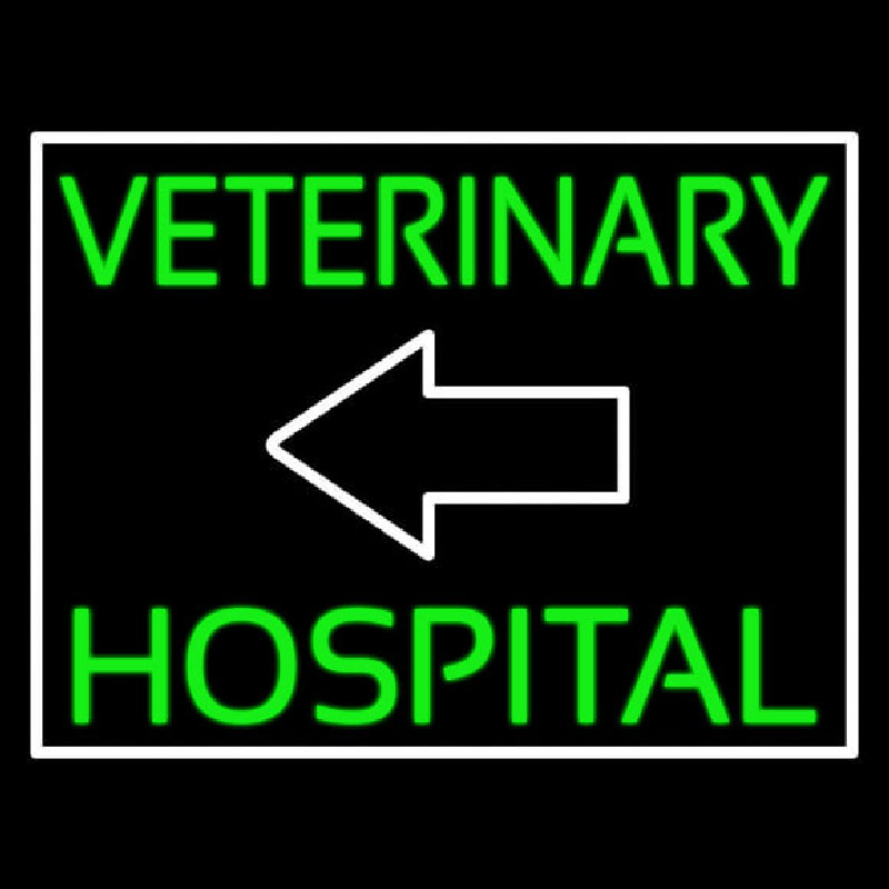 Veterinary Hospital With Arrow Neonreclame