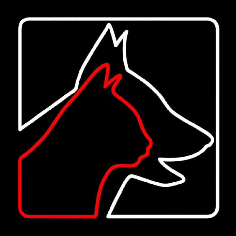 Veterinary Logo Dog Logo Cat Neonreclame