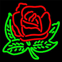 Alpha Omicron Pi Logo Neonreclame