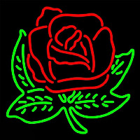 Alpha Omicron Pi Logo Neonreclame