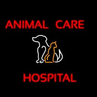 Animal Care Hospital Logo Neonreclame