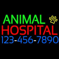 Animal Hospital With Phone Number Neonreclame