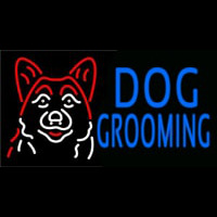 Blue Dog Grooming With Logo Neonreclame