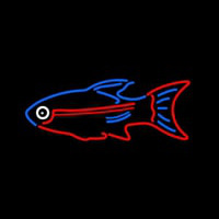 Blue Red Fish Neonreclame