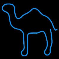 Camel Cigarettes Logo Neonreclame