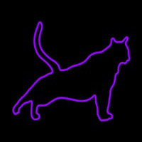 Cat Stretching Purple Neonreclame