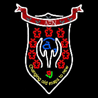 Delta Xi Nu Logo Neonreclame
