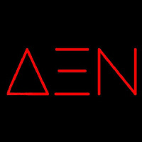 Delta Xi Nu Neonreclame