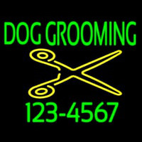 Dog Grooming With Phone Number Neonreclame