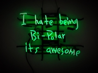 I Hate Being Bi Polar Neonreclame
