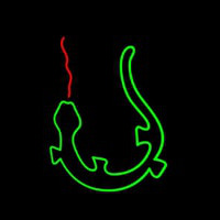 Lizard Dragon Logo Neonreclame
