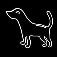 Logo Dog Neonreclame