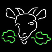 Moosehead Logo Real Neon Glass Tube Neonreclame