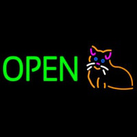 Open Cat Logo Green Letters Neonreclame