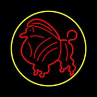 Poodle Dog Yellow Circle Neonreclame