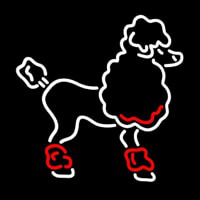 Poodle Neonreclame