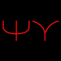 Psi Upsilon Neonreclame