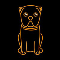 Pug Dog Cartoon Poster Neonreclame