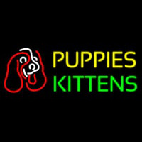 Puppies Kittens With Logo Neonreclame