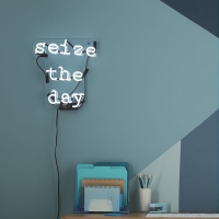Seize the day Neonreclame