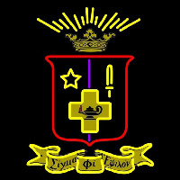 Sigma Phi Epsilon Chapters Logo Neonreclame