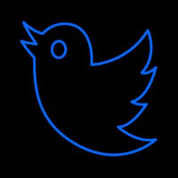 Twitter Bird Logo Neonreclame