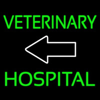 Veterinary Hospital With Arrow 1 Neonreclame