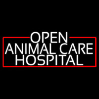 White Animal Care Hospital With Red Border Neonreclame